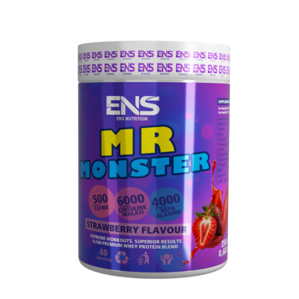 MR MONSTER