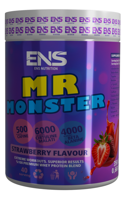 MR MONSTER